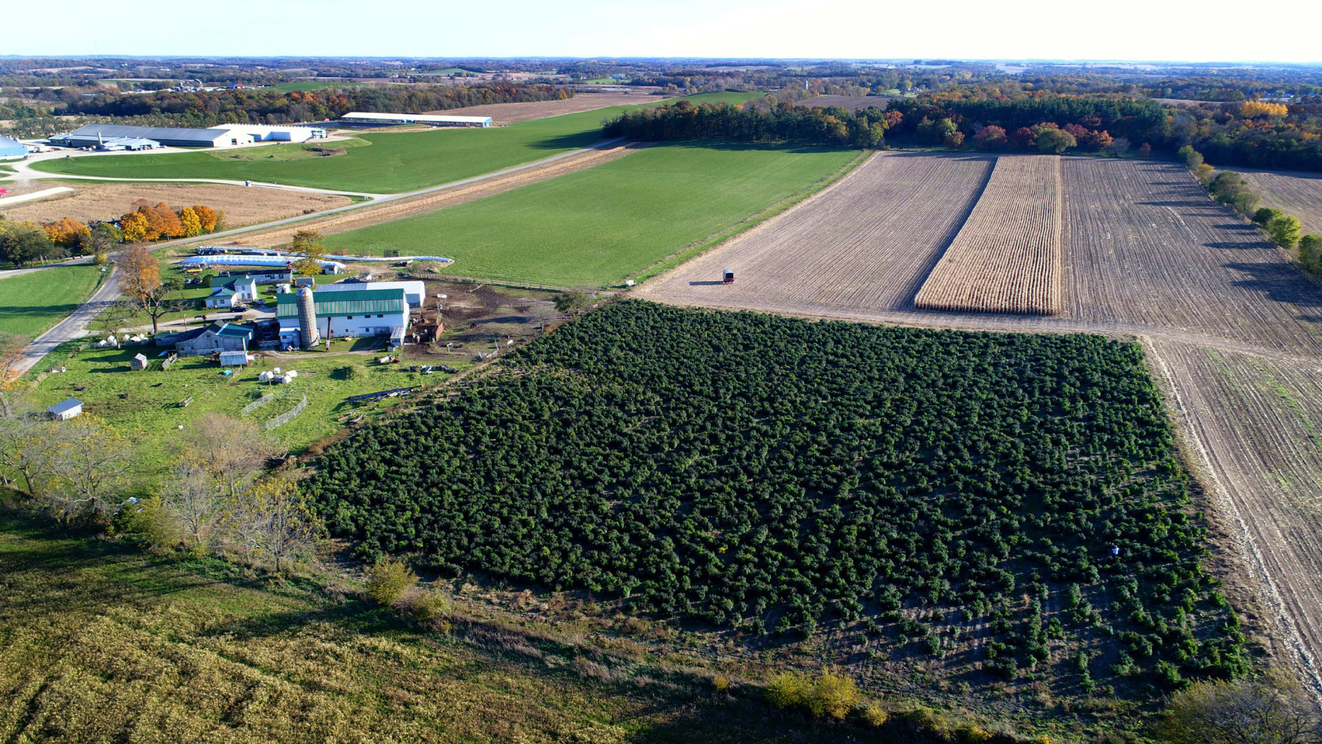 Exchange Growing Hemp